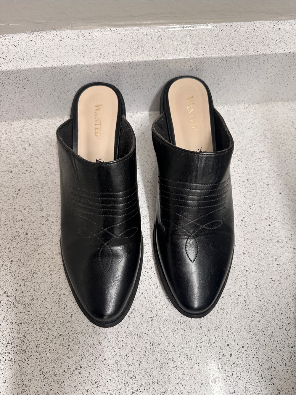 WANTED Black Leather Pointed Slip-On Mule